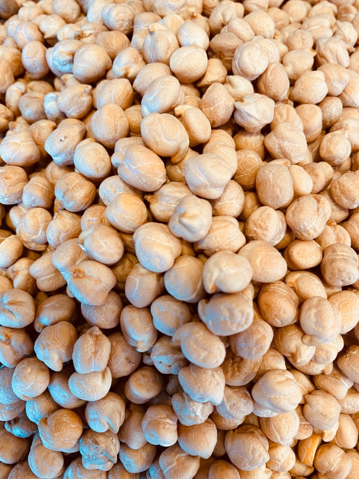 Excellent Market Priced Quality Non GMO Sweet Mix Size 7/8 Kabuli Chick Pea