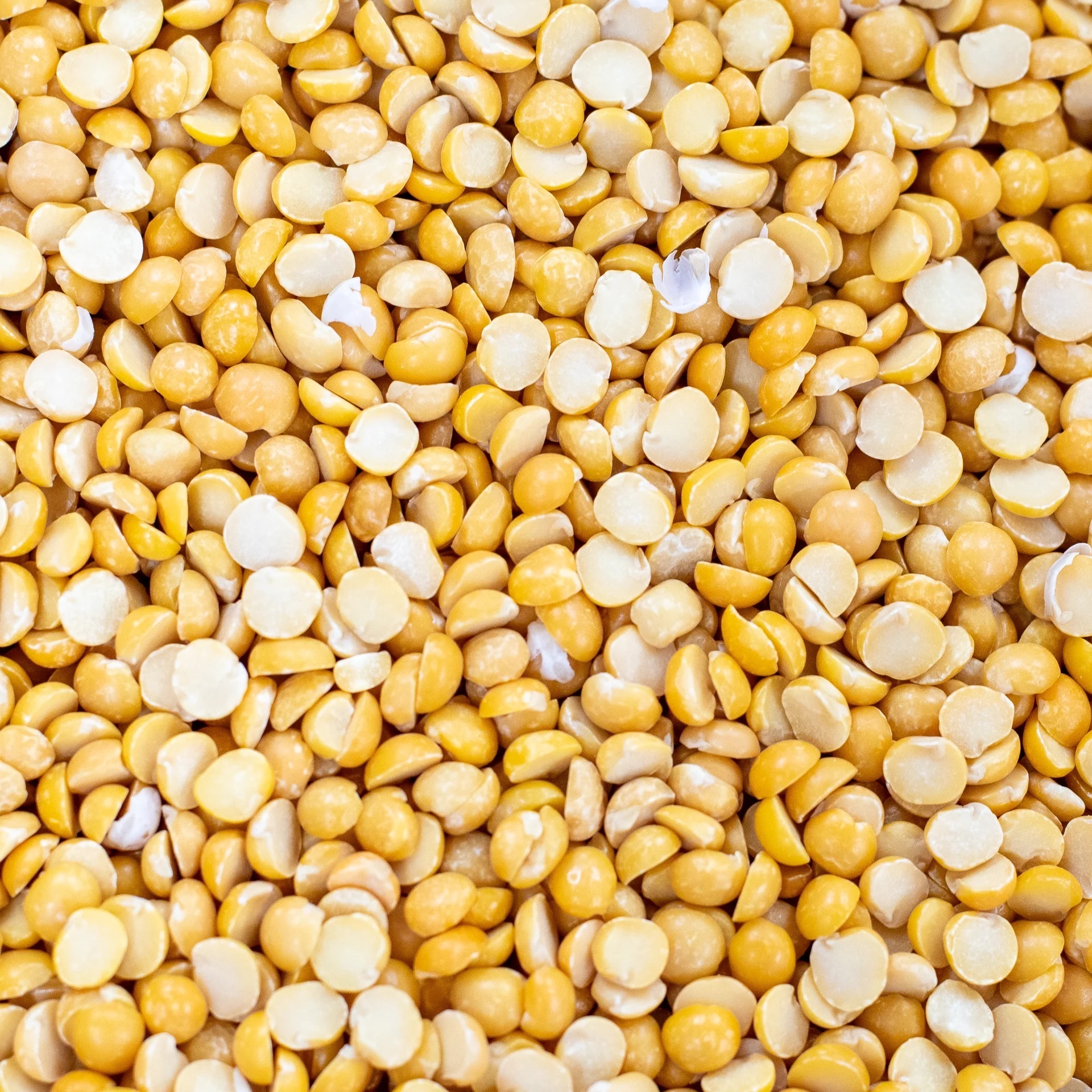 Nice Affordable Market Priced Flavorful Non GMO Golden Yellow Peas