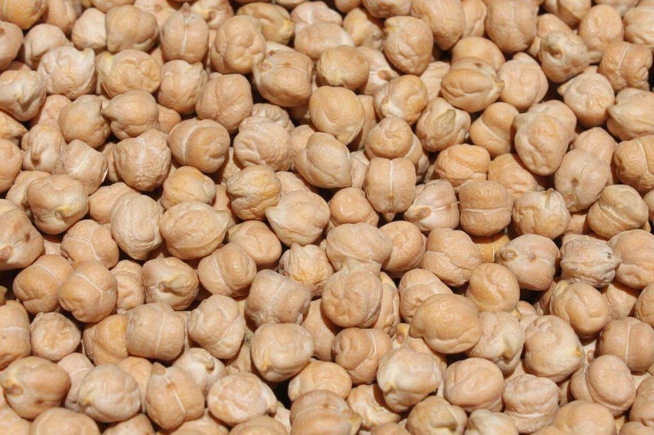 Excellent Market Priced Quality Non GMO Sweet Mix Size 7/8 Kabuli Chick Pea