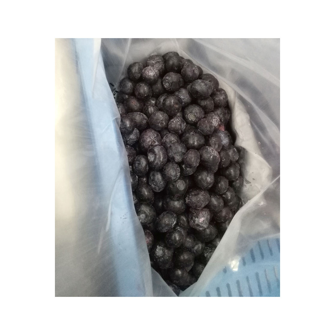 Import high quality iqf wild fruits foods frozen blueberry prices