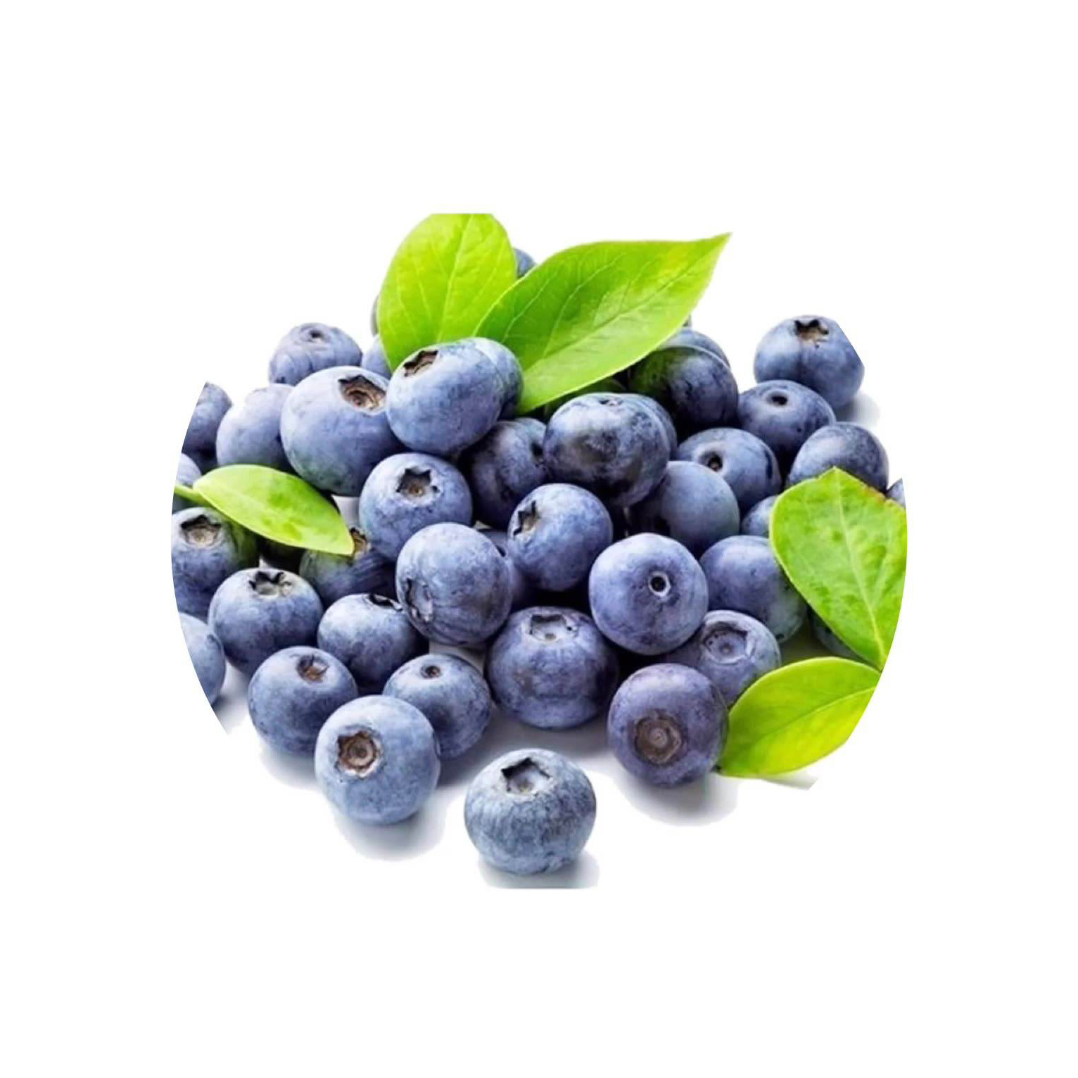 Export bulk IQF frozen blueberry price frozen fruits for juice jam