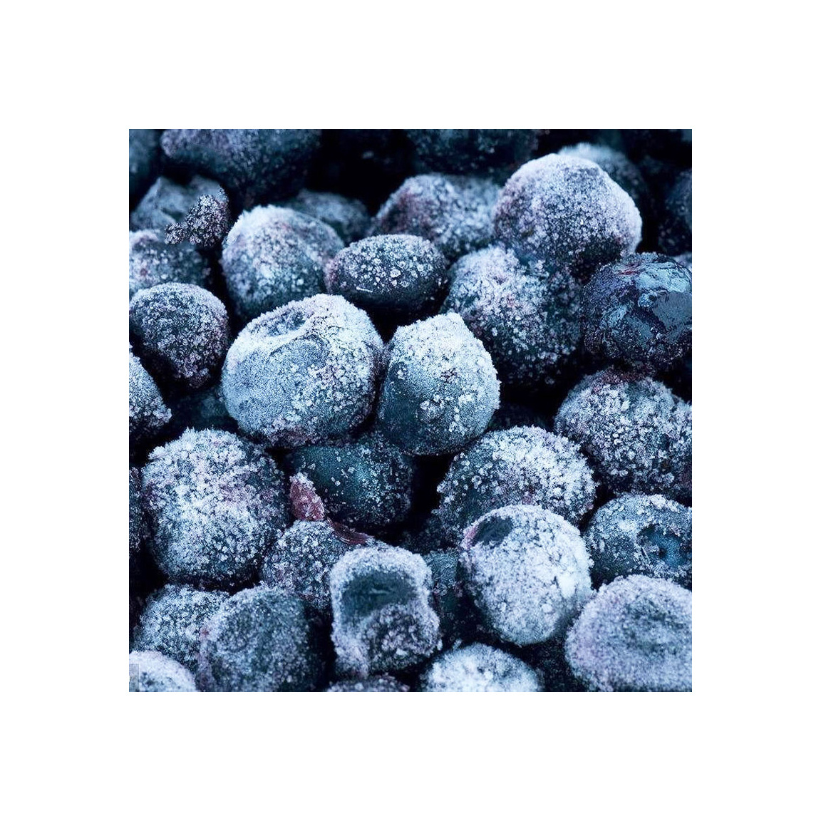 Export bulk IQF frozen blueberry price frozen fruits for juice jam