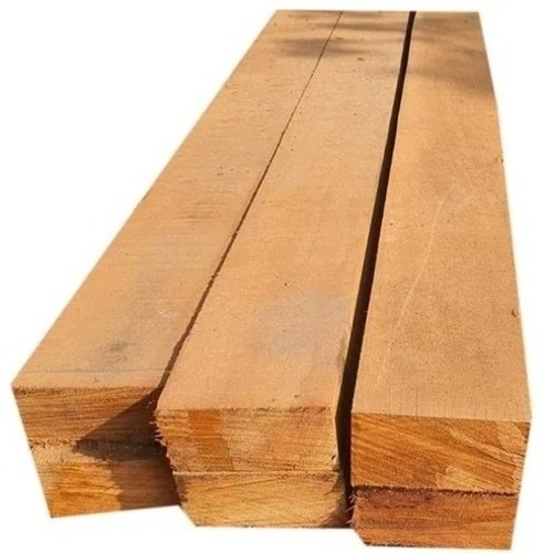 High Quality Round Teak Wood, Tali Wood, Padouk, Pine, Boxwood, Azobe Wood and Timber Logs Low Price