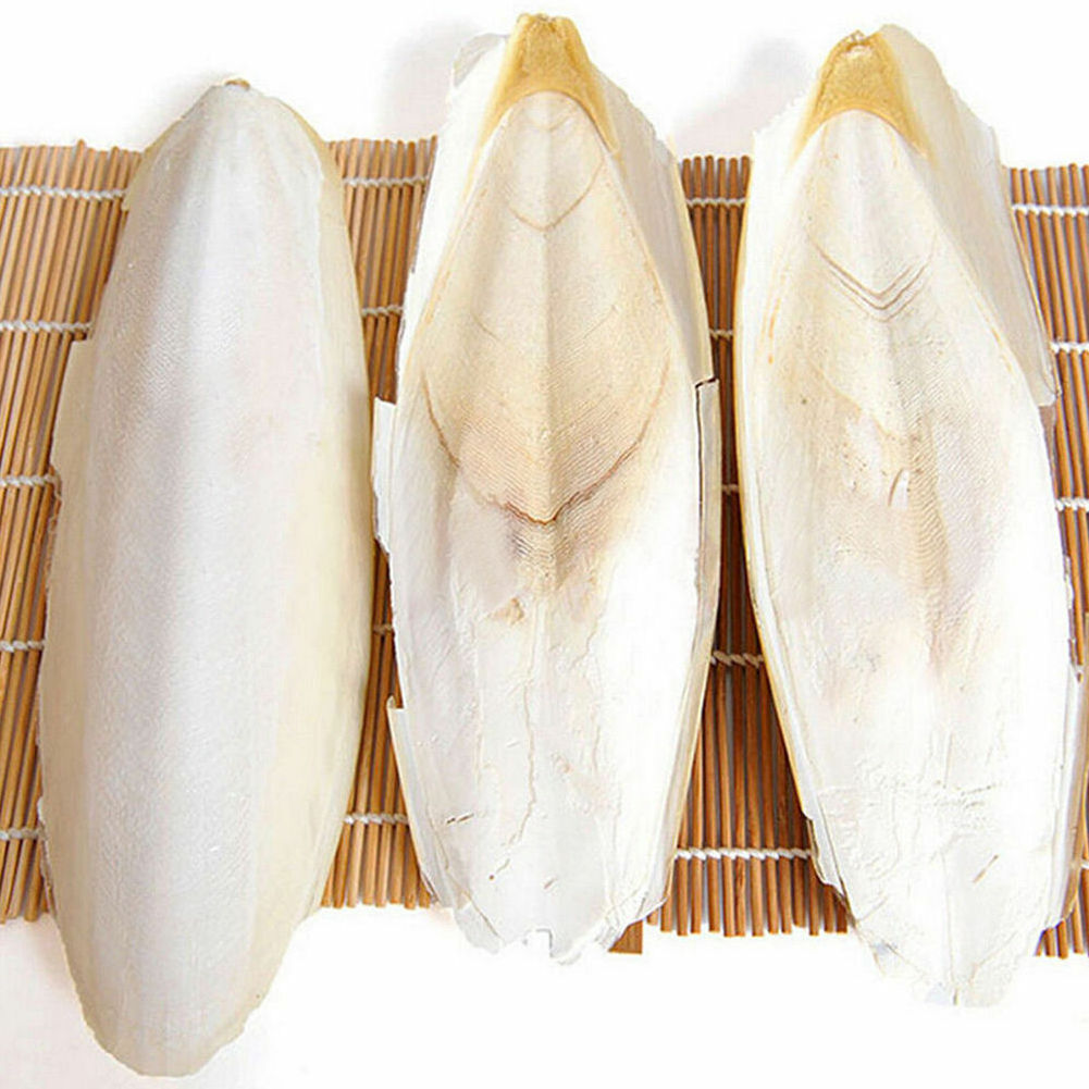 Dried Cuttle Fish Dry Cuttle Fish Bone Cuttlefish Whole Clean Giant Cuttle Bone Low Price