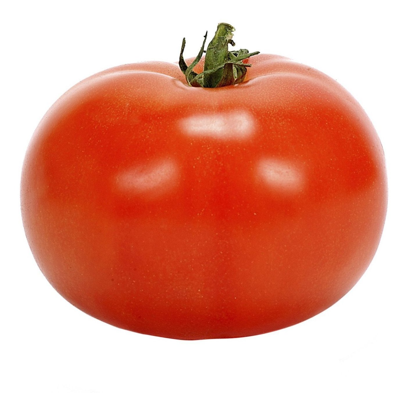 Wholesale Fresh Tomato with Natural red / Best quality for wholesale / Quick response and cheap price