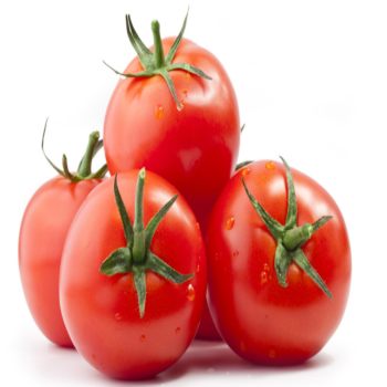 Wholesale Fresh Tomato with Natural red / Best quality for wholesale / Quick response and cheap price