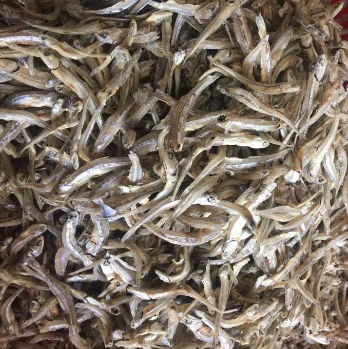 Baby Sun Dried Anchovy Fish From Canada / Medium Dried Anchovy With Best Quality