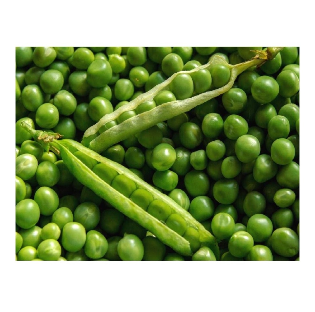 Premium grade green peas bulk IQF sweet peas For Sale In Cheap Fast Shipping