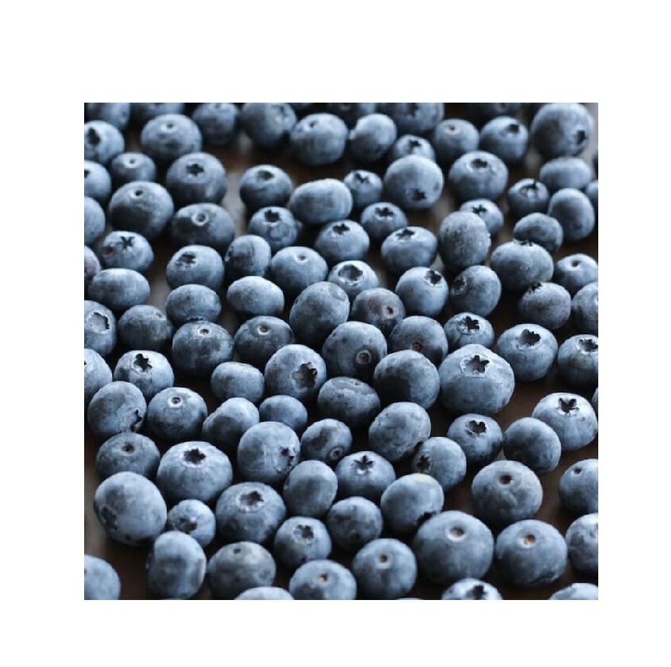 100% natural fresh deep frozen blueberry cultivated for export IQF processing berries blueberry