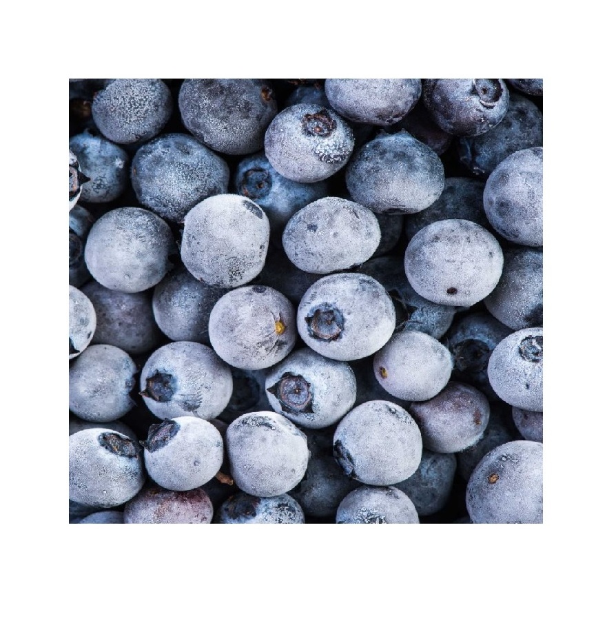 100% natural fresh deep frozen blueberry cultivated for export IQF processing berries blueberry