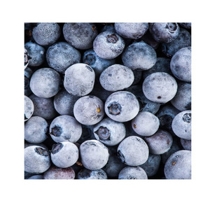 100% natural fresh deep frozen blueberry cultivated for export IQF processing berries blueberry