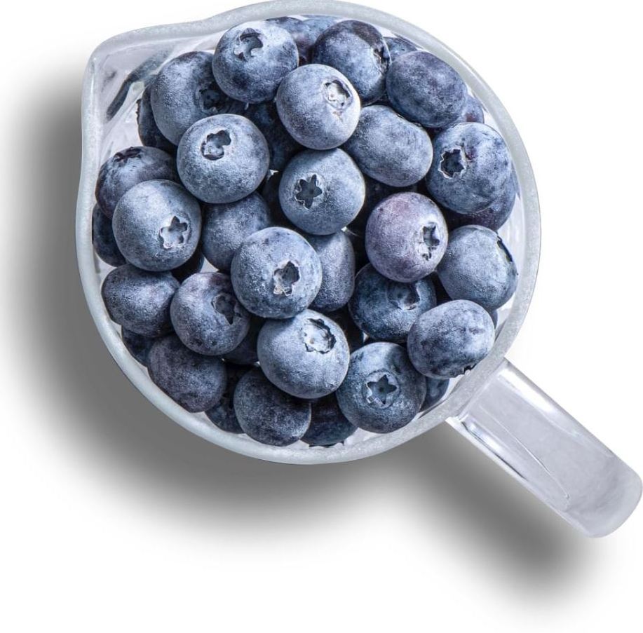 100% natural fresh deep frozen blueberry cultivated for export IQF processing berries blueberry