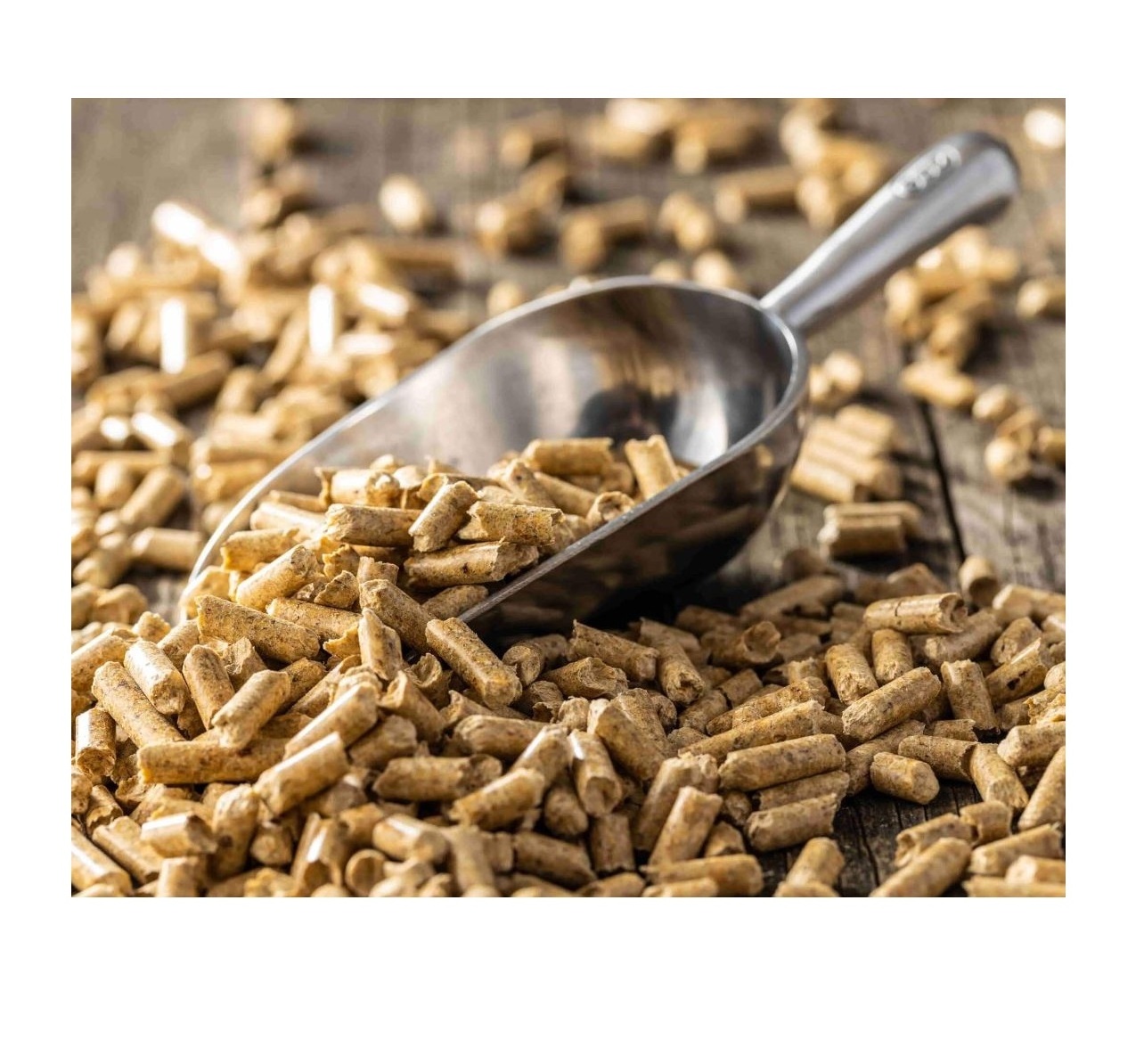 Wood Pellets - Good Price Boiling Fuel Or Bedding Wood Shavings Pets Wood Shaving For Small Pets