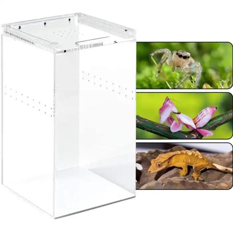 CABOAL Clear Tall Acrylic Reptile Feeding Case for Scorpion Lizard Wholesale Acrylic Insect Breeding Box with Magnetic Top Lid