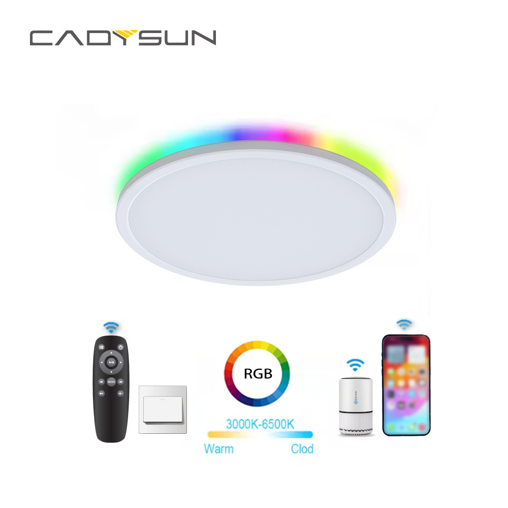 Cadysun Surface Mounted Small Flush Mount Ceiling Light Slim 13W 18W 3CCT Round Ultra-Thin Wall Panels Led Light For Living Room