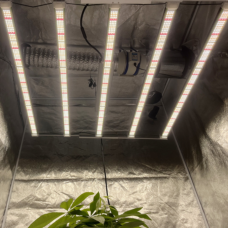 Bar 730W 1000W Retractable Lm301h Lm301b Full Spectrum Agriculture Led Grow Light Intertek Lighting