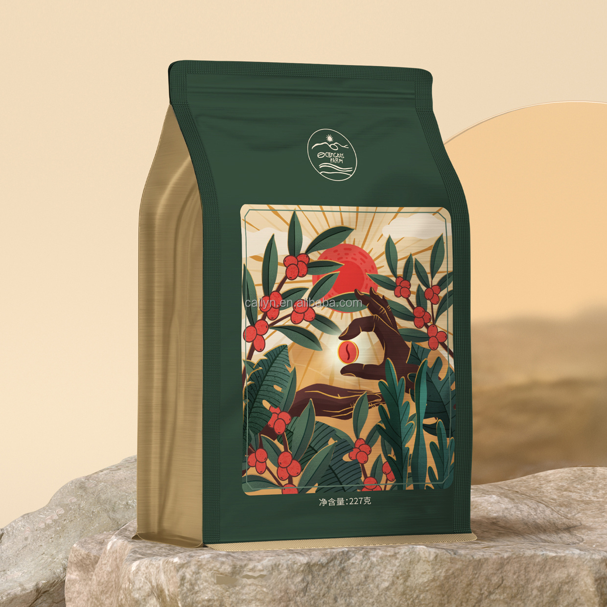 Cailyn Customization Reusable Flat Bottom Coffee Bags with Valve and Zipper for Coffee Bean Tea Packaging