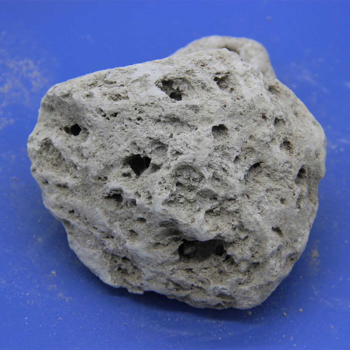 Natural pumice stone Lava Volcanic stone horticultural pumice choose Hebei Cairui