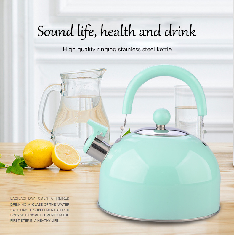 Factory Price Induction 2021 Fast Coffee Water Boiler Stainless Steel Smart Hot Electric Whistling Tea Kettle