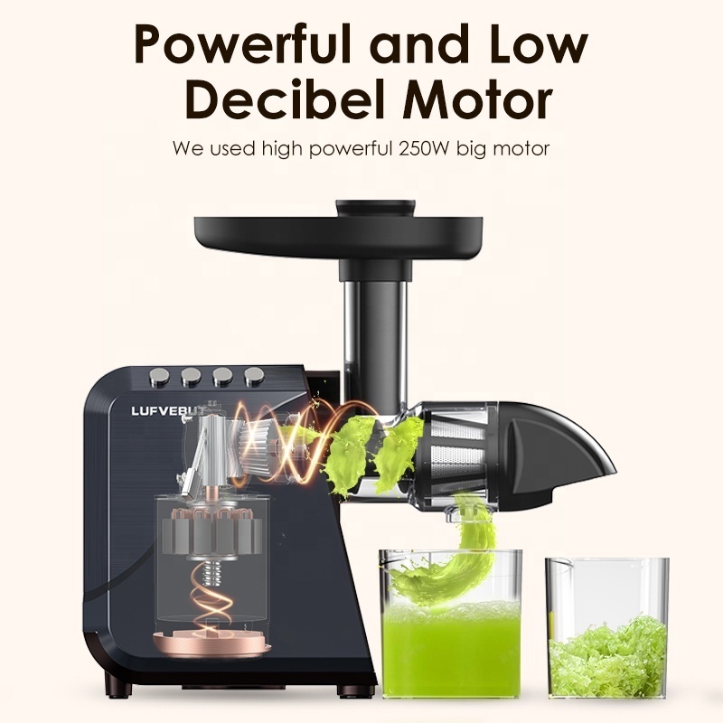 Cold Press Slow Juicer with Horizontal Type Carrots and Vegetable Slicer Machine Low Noise Cold Press Multi-Purpose Juicer Extra