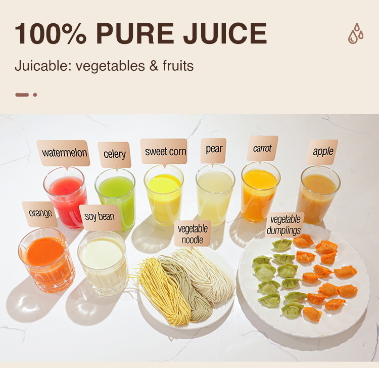 BPA Free New Masticating Juicer Quiet Motor Screw Press Tomato Orange Fruit Juicer Horizontal Whole Slow Juicer