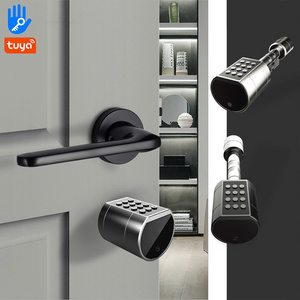 Electronic Euro Profile Tuya/TTlock APP Bluetooth Password Digital IC Card Smart Door Handle Mortise Cylinder Lock With Keys