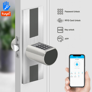 European and American Standard Small Tuya TT APP Passcode Smart Zinc Alloy Rim Cylinder Mortise Set Door Lock