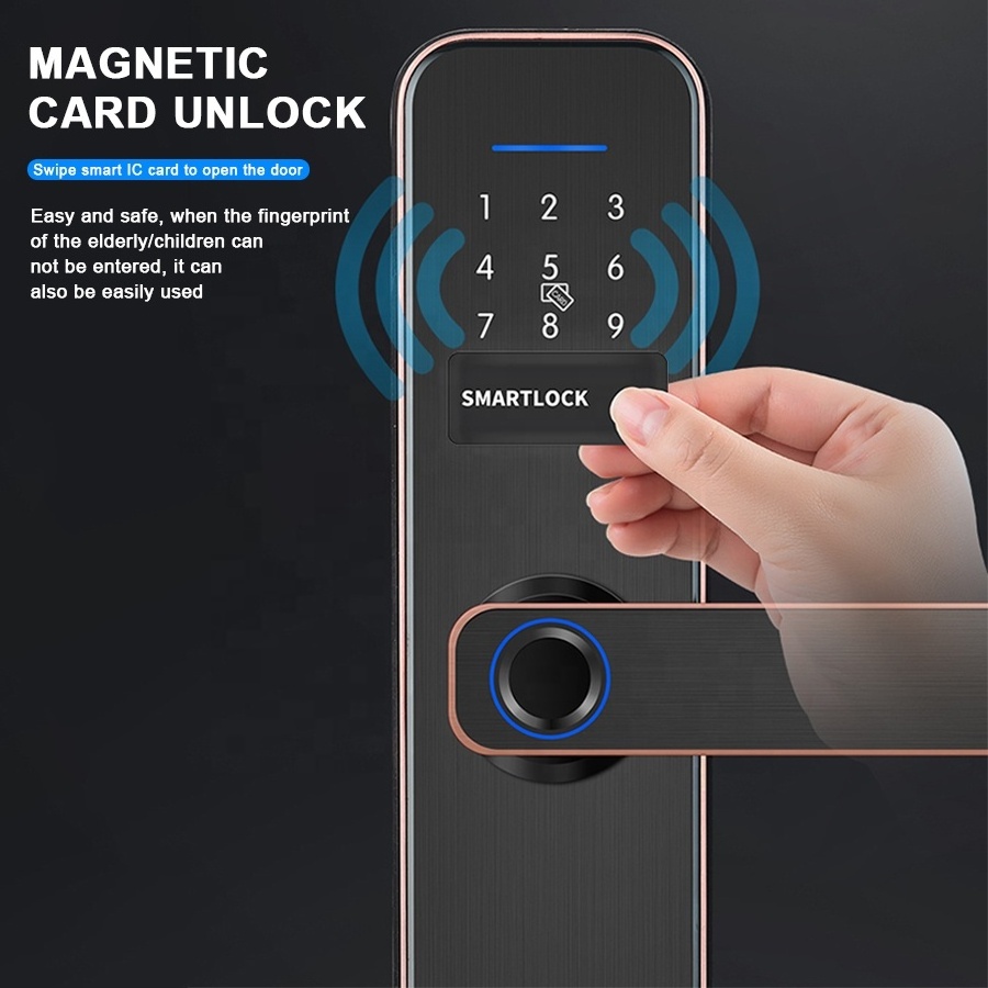 Tuya TTLOCK App Ble Electric Keyless Biometric Fingerprint Password Digital Smart Apartment Room Entry Door Handle Locks