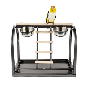 SMALL BIRD PARROT MACAW COCKATOO PET TABLE TOP PARROT BIRD PLAY STAND