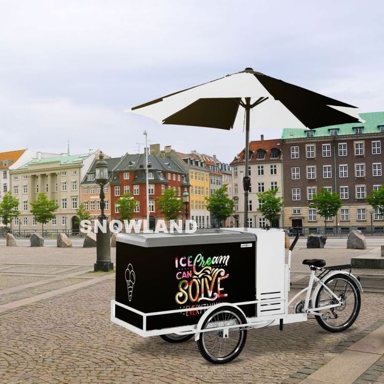 New Mobile Umbrella Gelato Ice Cream Cart Freezer Price