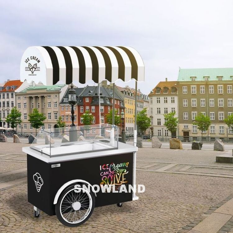 Customized Design Portable Ice Cream Bike Cart For Sale