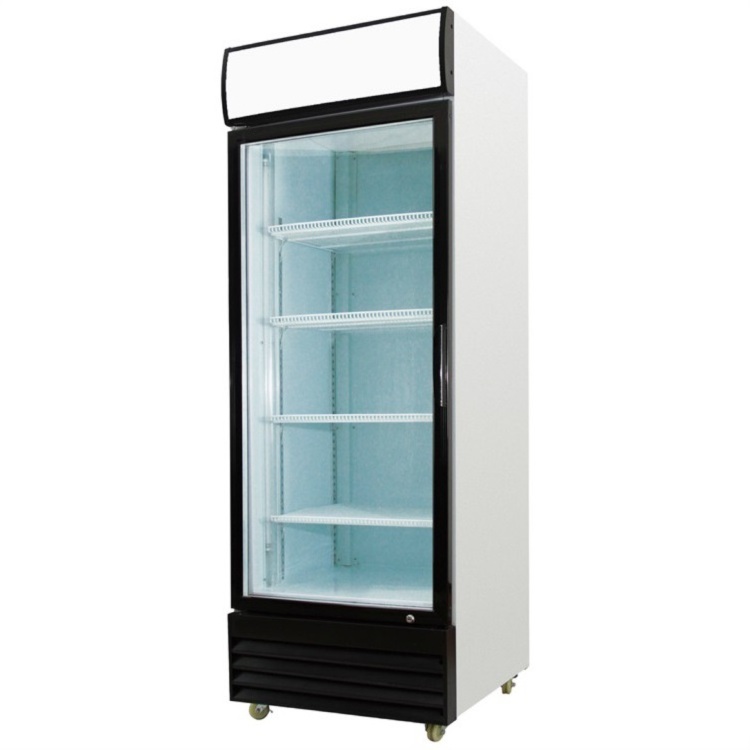 Commercial Used Transparent Glass Door Freezer