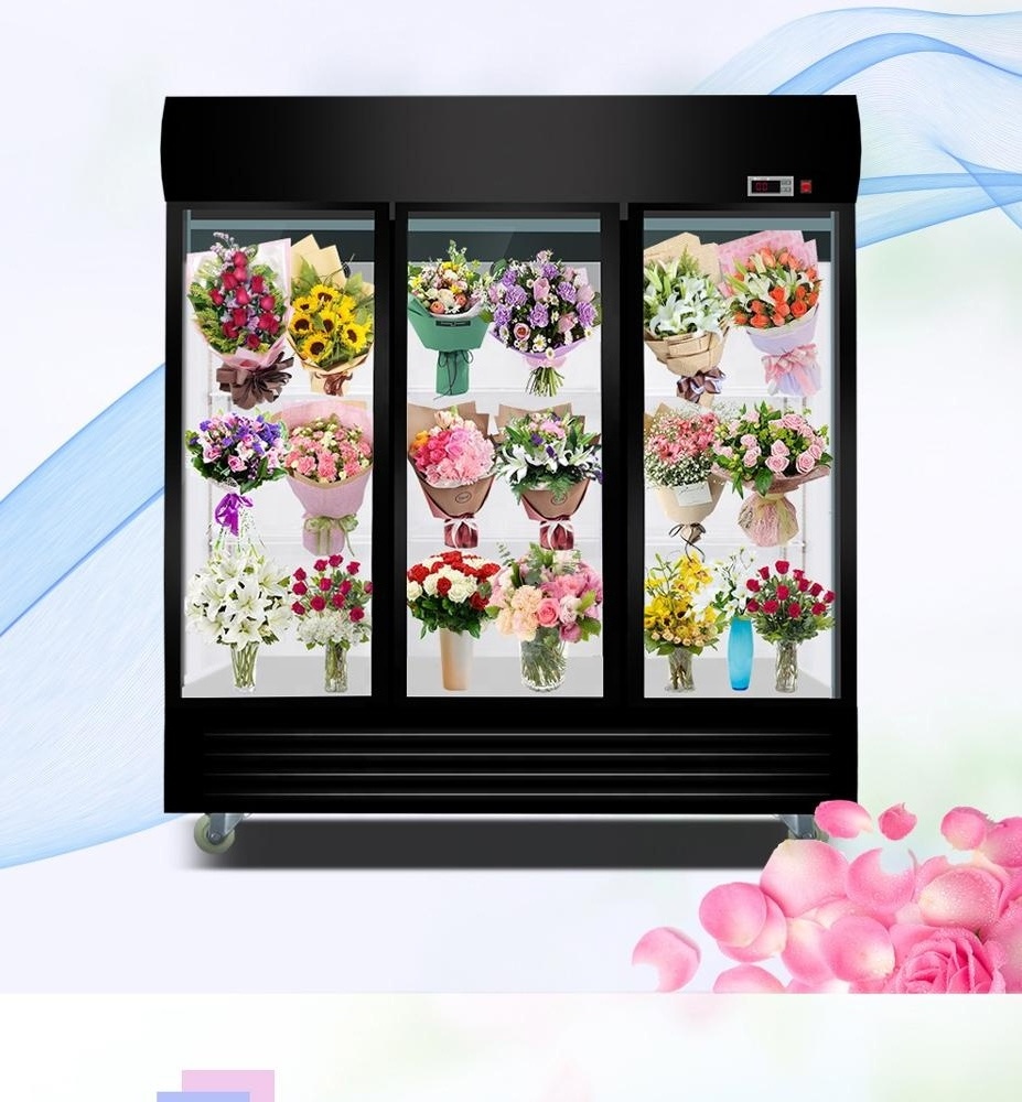 New Design Double Glass Door Used Flower Cooler