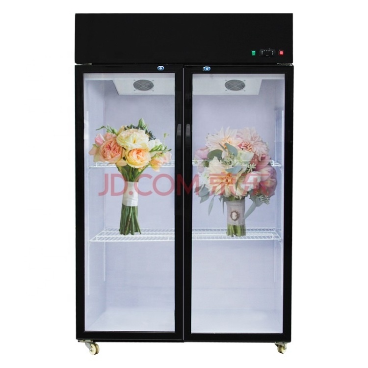 New Design Double Glass Door Used Flower Cooler