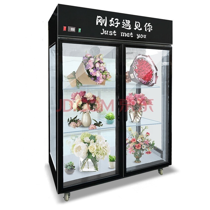 New Design Double Glass Door Used Flower Cooler