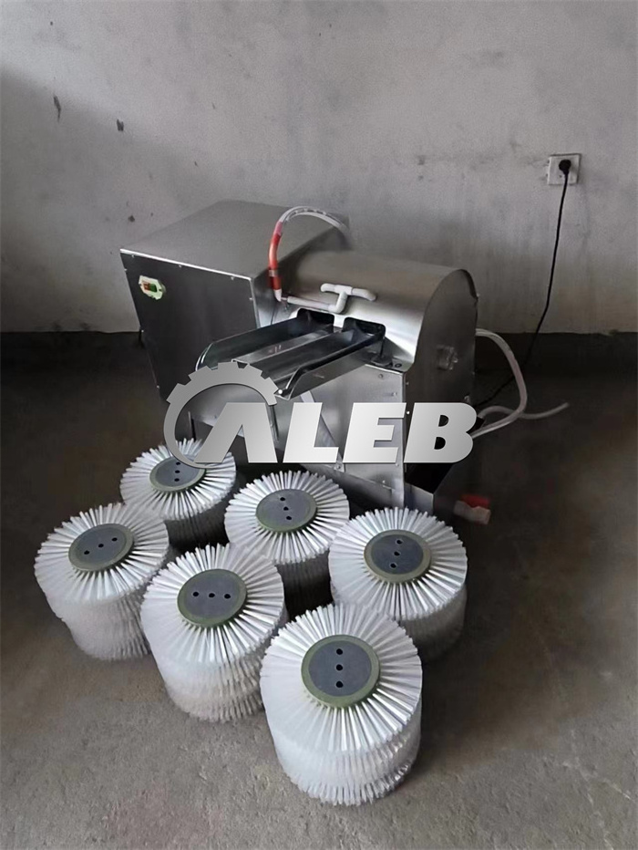 Fully automatic mud egg washing washer salted duck egg cleaner with high quality