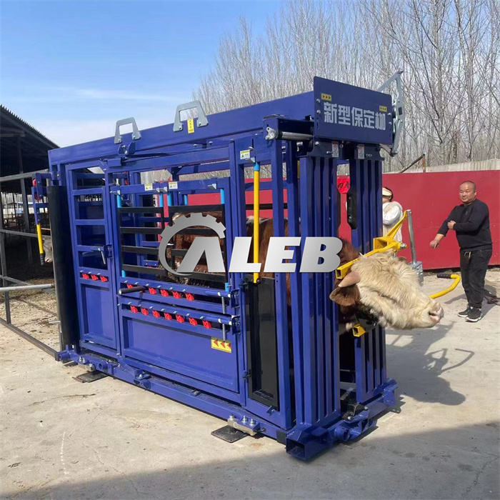 cheap cattle vet crush livestock head cattle handling squeeze machine