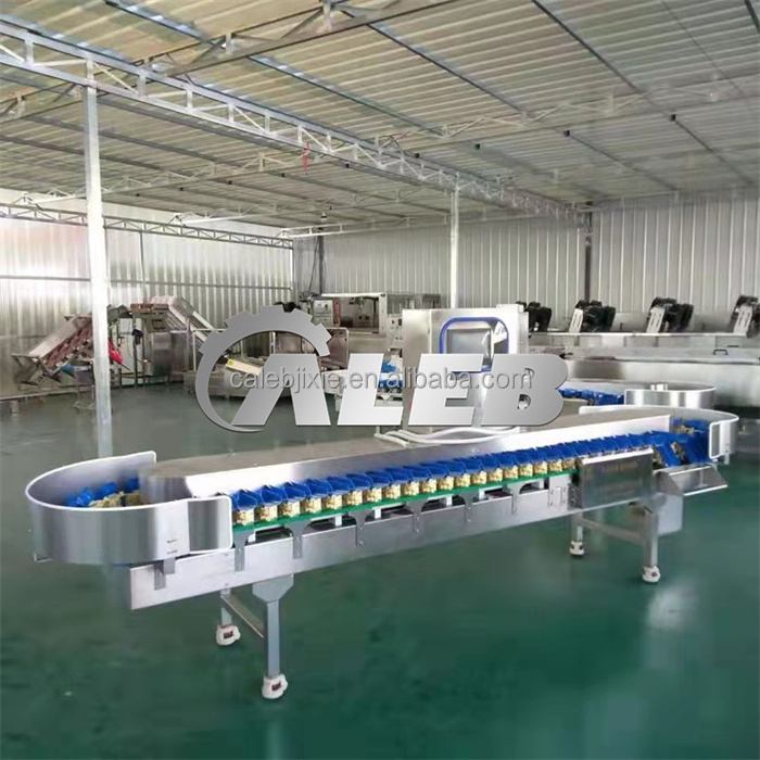 automatic high speed Oysters octopus hairtail  dried sea cucumber salt abalone  oyster sorting machine