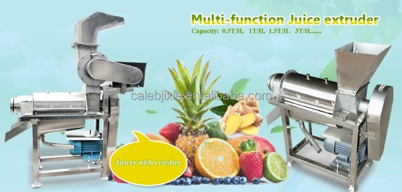 Pineapple crush juicer machine/ apple juice making machine/ 304 stainless steel mango juice extractor