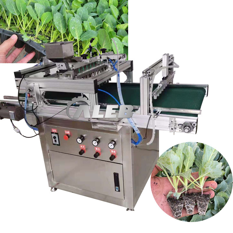 automatic Hot Selling tomato seed planting machine cabbage onion vegetables trays seed planting machine