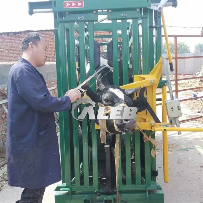 Heavy Duty Portable Cattle Headlock Panels