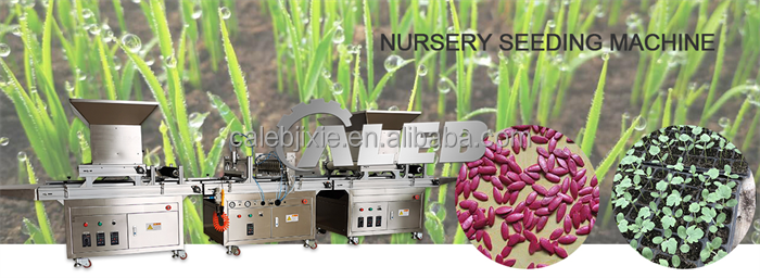 automatic Hot Selling tomato seed planting machine cabbage onion vegetables trays seed planting machine