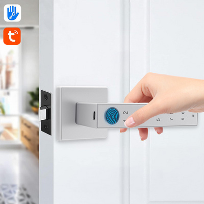 Keyless TUYA APP Smart Door lock Room Hotel apartment fingerprint password smart security handle door lock