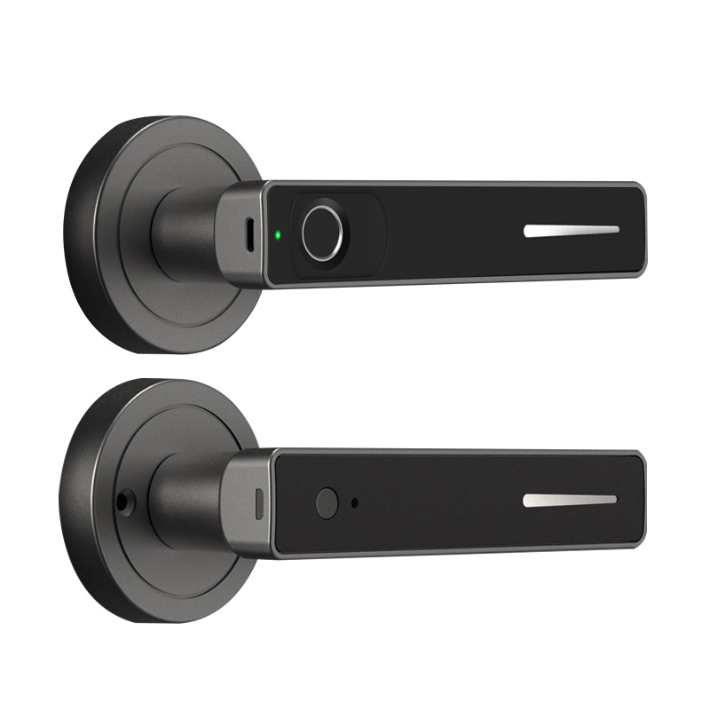 THE Black Aluminum Alloy TuyaSmart door lock with fingerprint and handle for Metal Doors