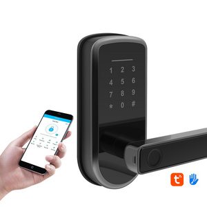 TTlock APP Smart handle door lock keypad electronic fingerprint smart lever door lock