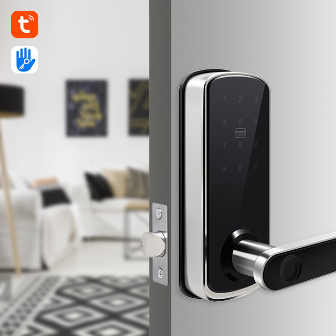 Simple Design TTlock Keyless Smart Lock Keypad Deadbolt Smart Door Lock with Handle