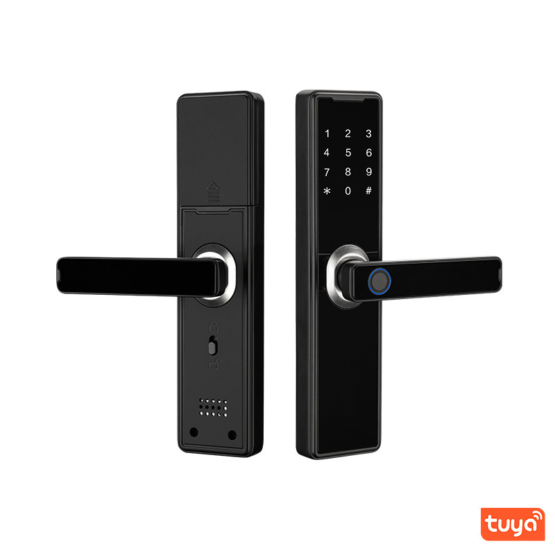 Top smart fingerprint door lock keyless entry APP touch screen digital password smart lock