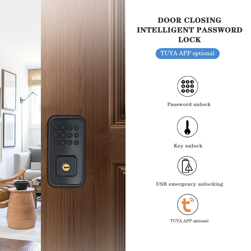 CAMAKT Cross-border American Tuya Electronic Lock Indoor  Wooden Door Smart Lock With Key Password