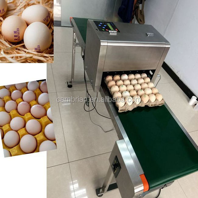 Best quality high dpi inkjet egg printer print 6 lines eggs direct jet printer