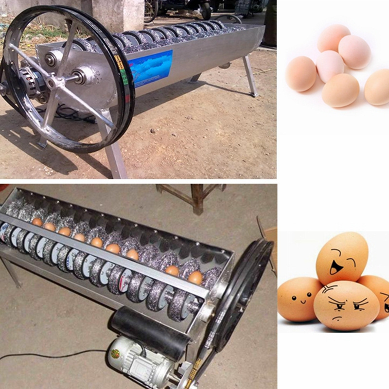 Commercial duck egg washer and cleaner Automatic chicken egg washing machine